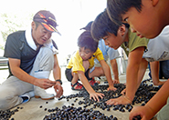 2回目の活動 2回目の活動