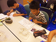 採集した生きもののキャプションづくり