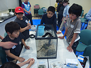 水槽のレイアウトについて団員同士で相談