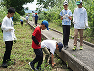 斐伊川河川敷公園でゴミ拾い