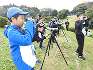 宍道湖ふれあいパークでバードウォッチング