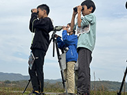 宍道湖グリーンパーク前の湖岸でバードウォッチング