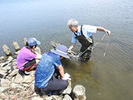 漁具を宍道湖にしずめる