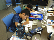 生きものスケッチ