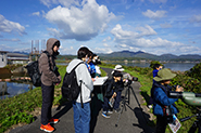 湖岸からバードウォッチング